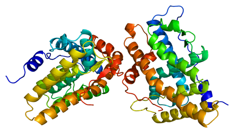 androgen receptor compressor